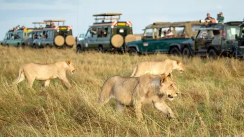 Masai Mara Safari
